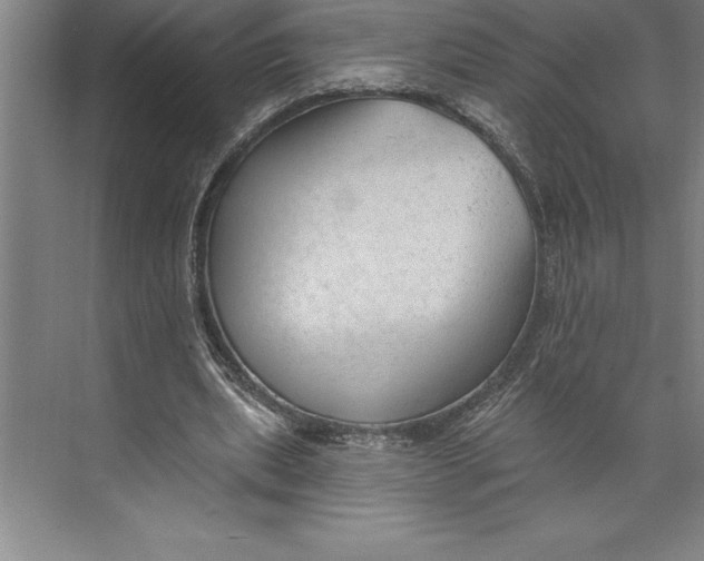 X0000074940439200609221709