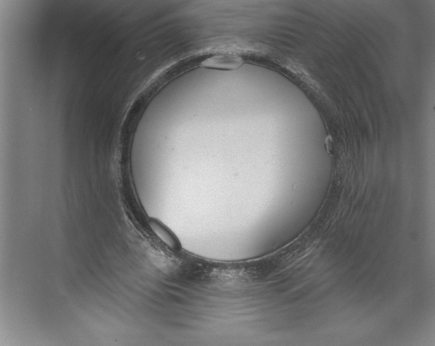 X0000074940440200609221709