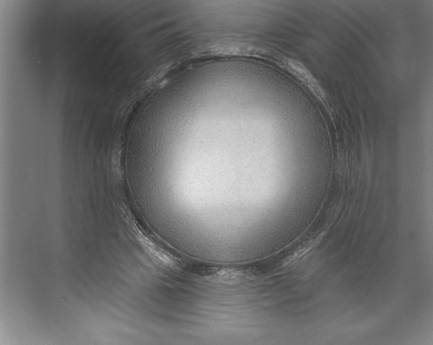 X0000074940441200609221709