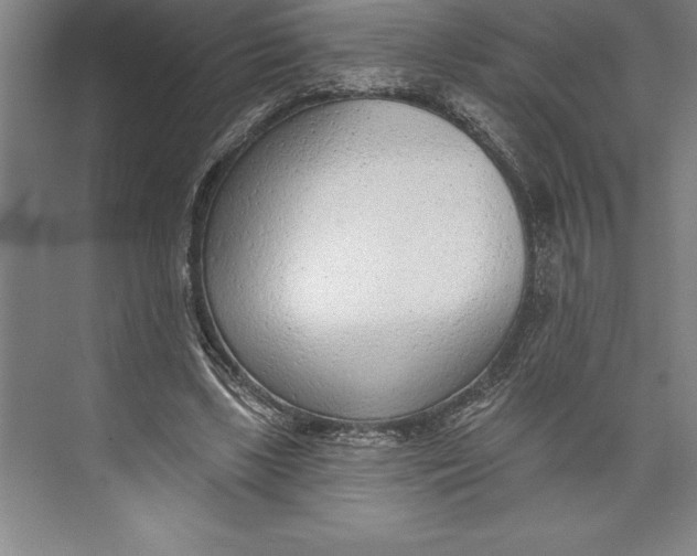 X0000074940443200609221709