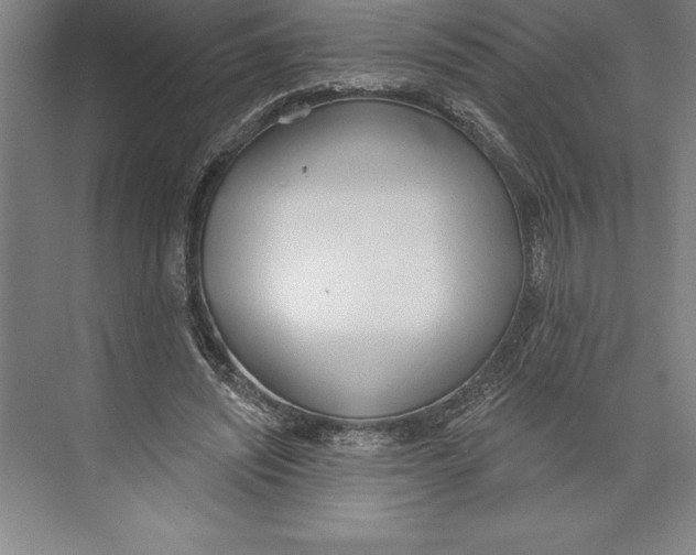 X0000074940444200609221709