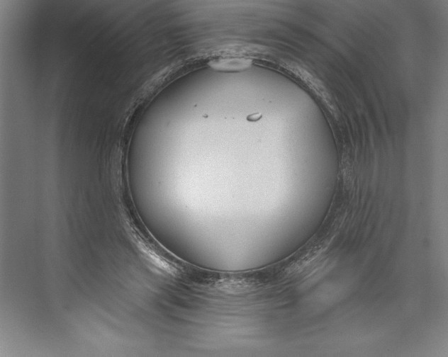 X0000074940445200609221709