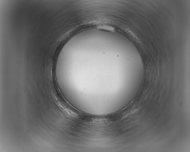 X0000074940446200609221709