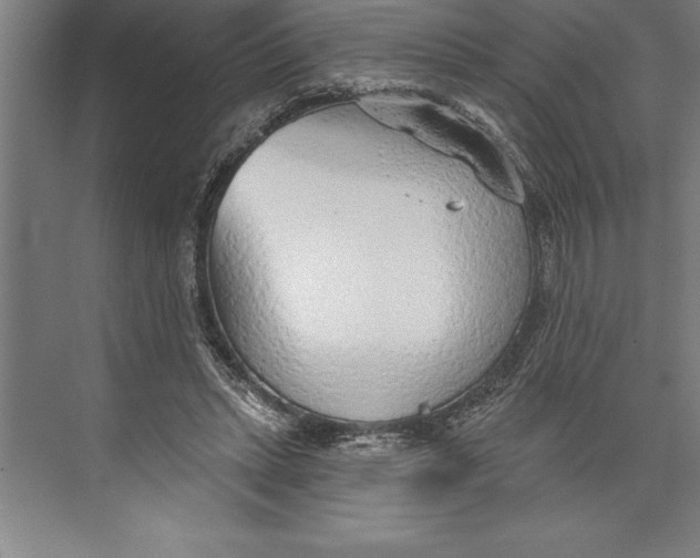 X0000074940447200609221709