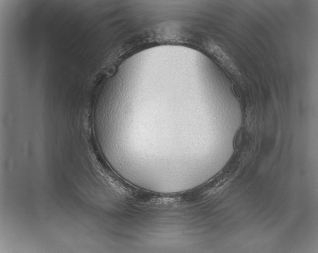 X0000074940449200609221709