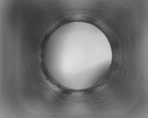 X0000074940450200609221709