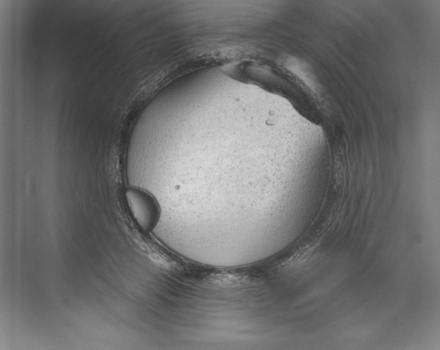 X0000074940453200609221709