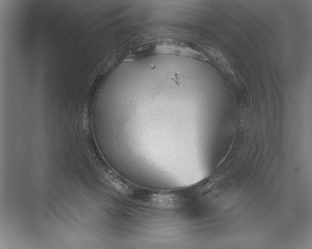 X0000074940457200609221709