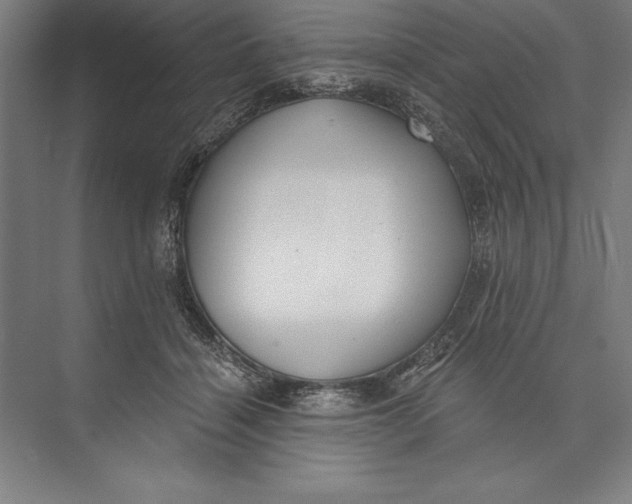 X0000074940460200609221709