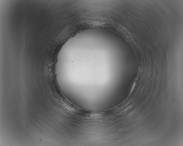 X0000074940462200609221709