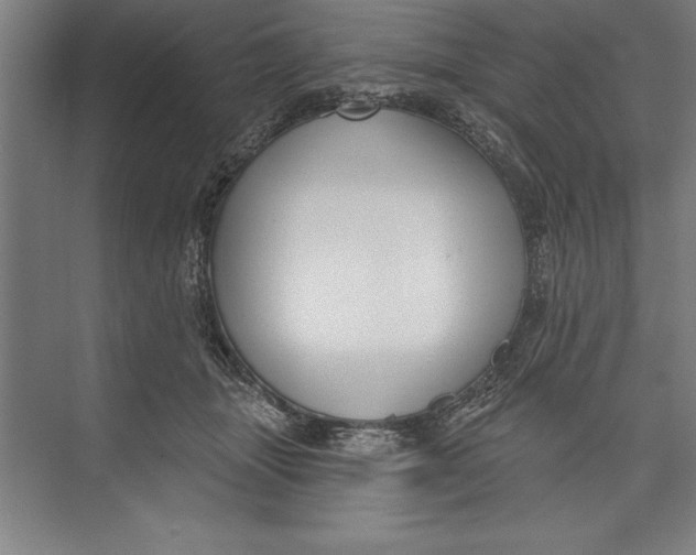 X0000074940463200609221709