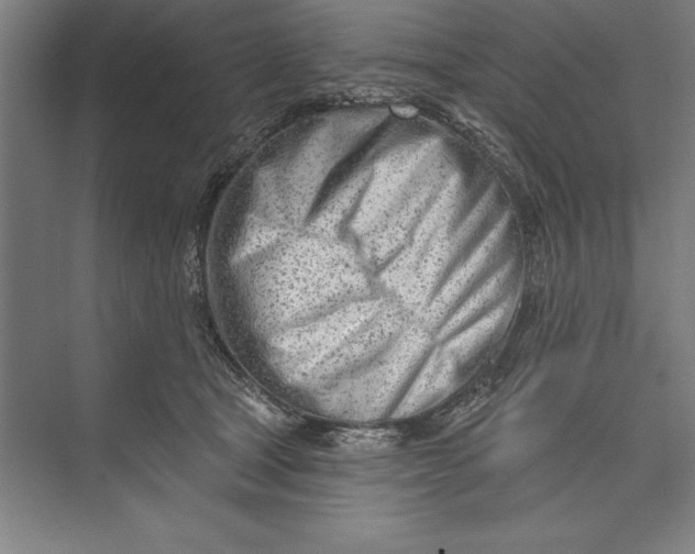 X0000074940465200609221709