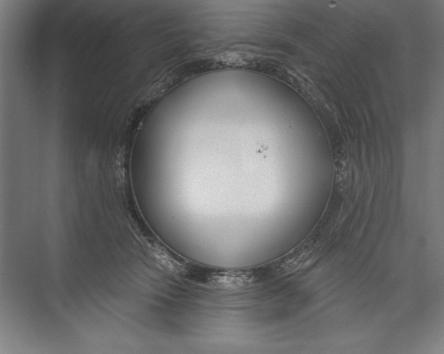 X0000074940466200609221709