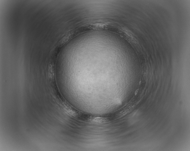 X0000074940467200609221709