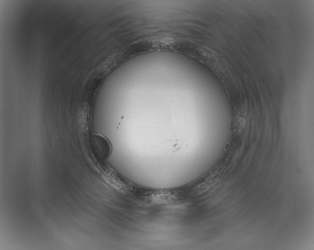 X0000074940468200609221709