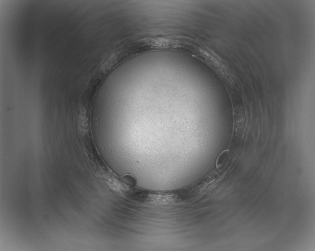 X0000074940469200609221709