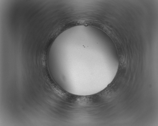 X0000074940470200609221709