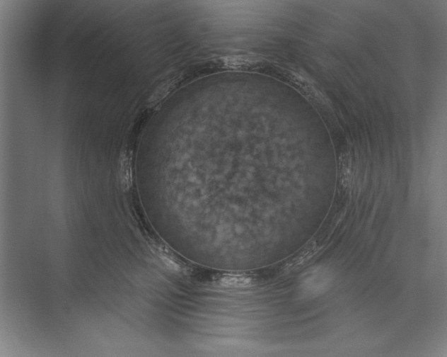 X0000074940471200609221709