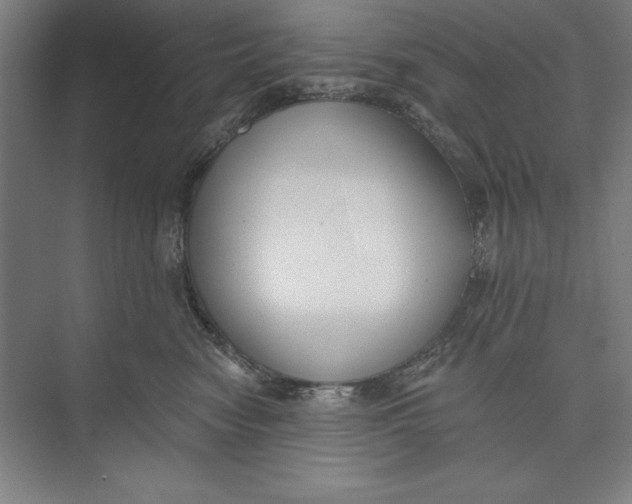 X0000074940474200609221710