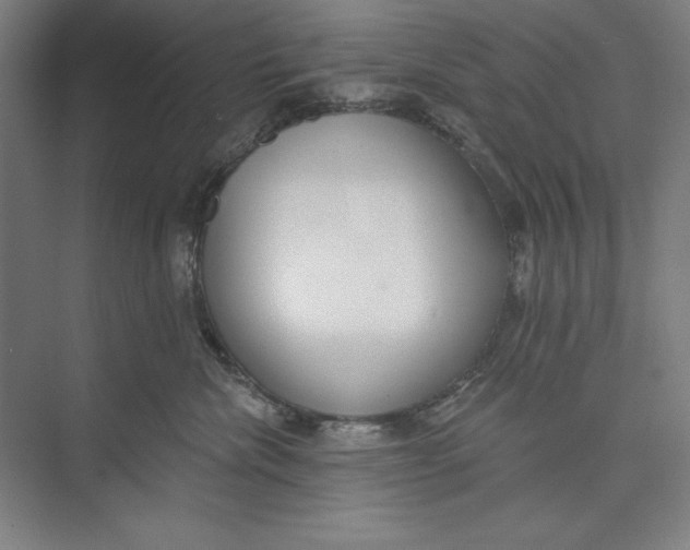 X0000074940476200609221710