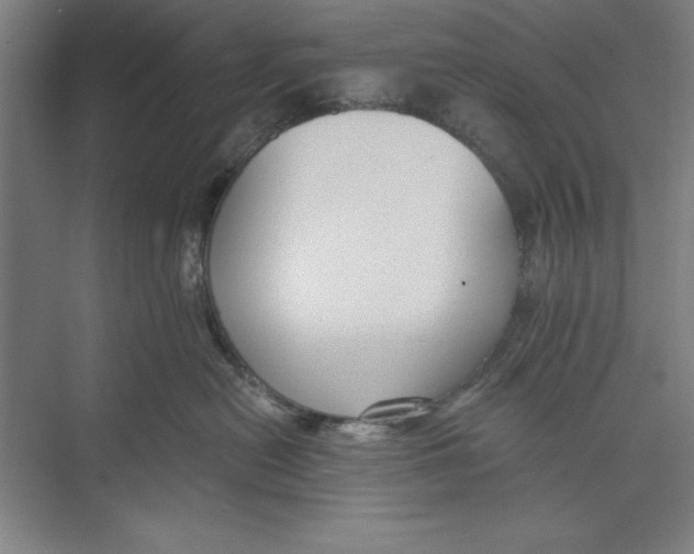 X0000074940478200609221710