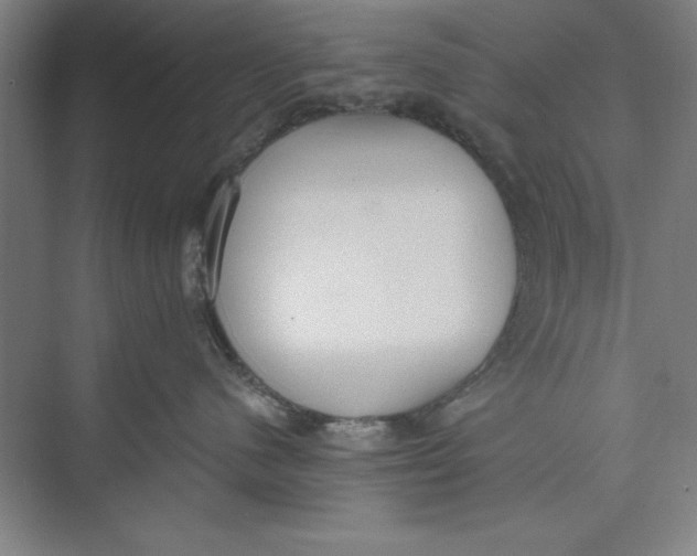 X0000074940480200609221710