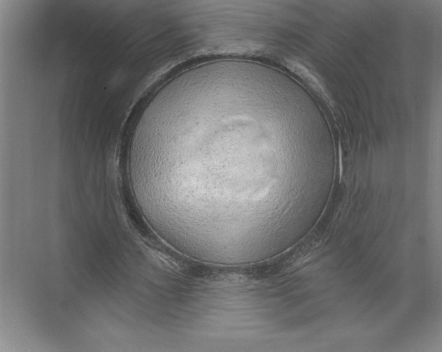 X0000074940483200609221709