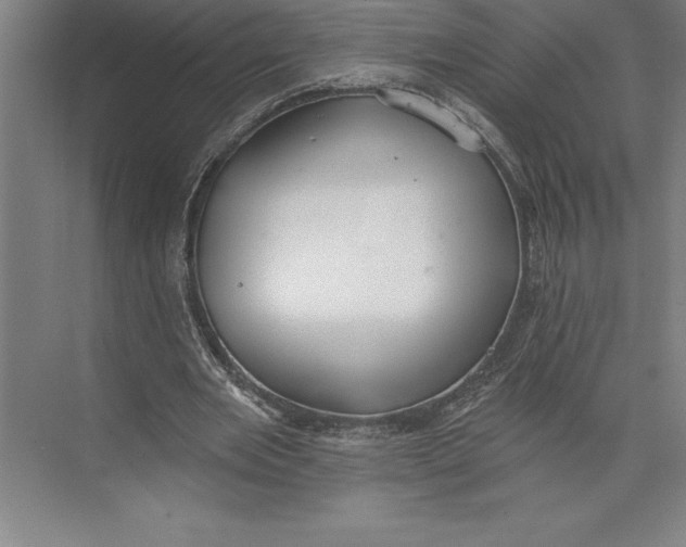 X0000074940485200609221709