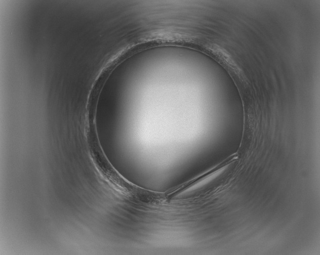 X0000074940488200609221709