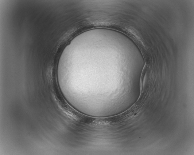 X0000074940491200609221709