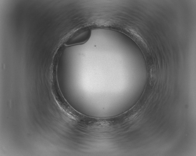 X0000074940492200609221709