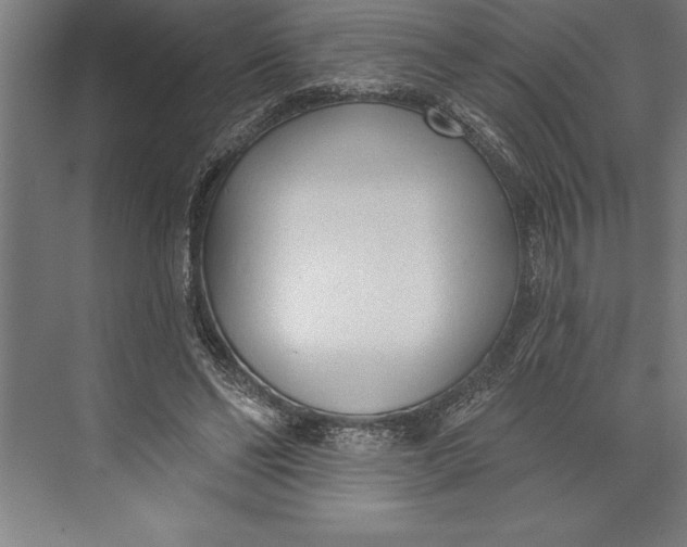 X0000074940494200609221709