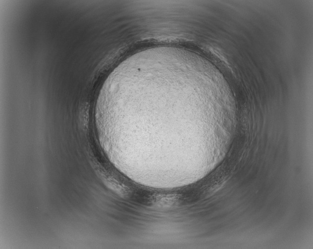 X0000074940495200609221709