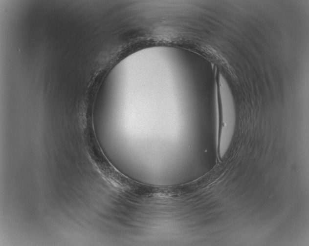 X0000074940496200609221709