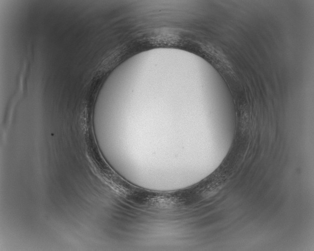 X0000074940498200609221709