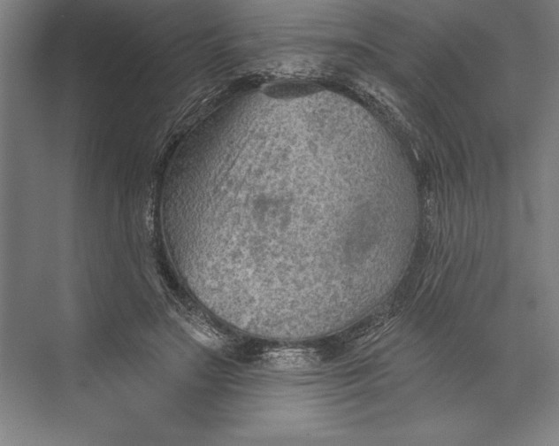 X0000074940499200609221708