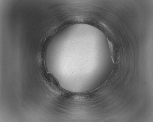 X0000074940500200609221708