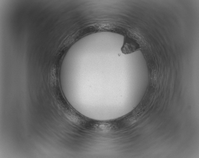 X0000074940506200609221708