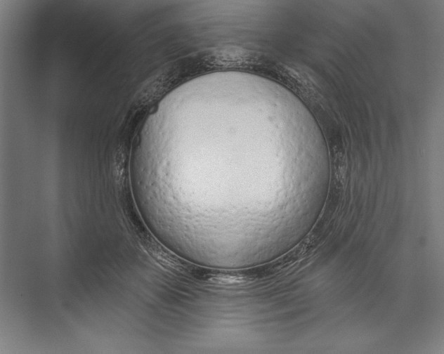 X0000074940507200609221708