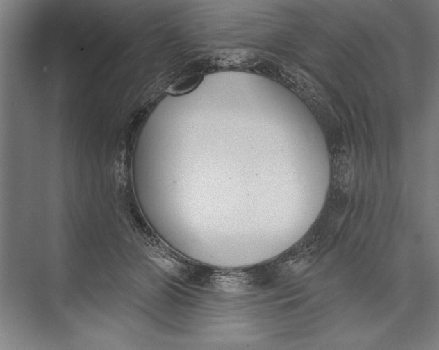 X0000074940510200609221708