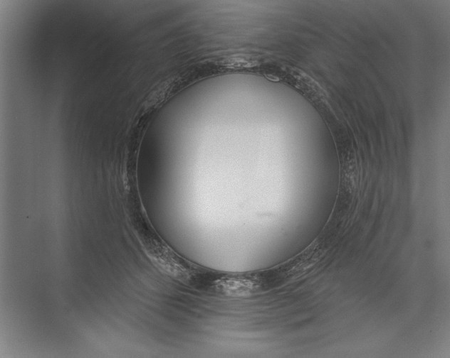 X0000074940512200609221708