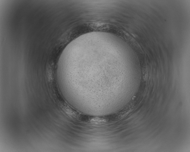 X0000074940515200609221708