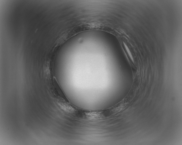 X0000074940516200609221708