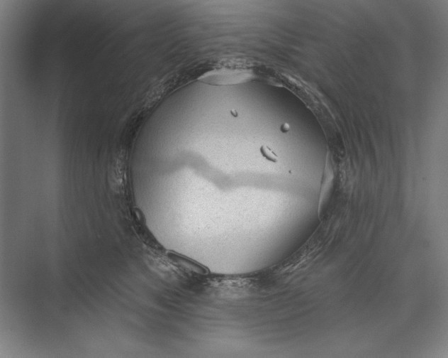 X0000074940517200609221708