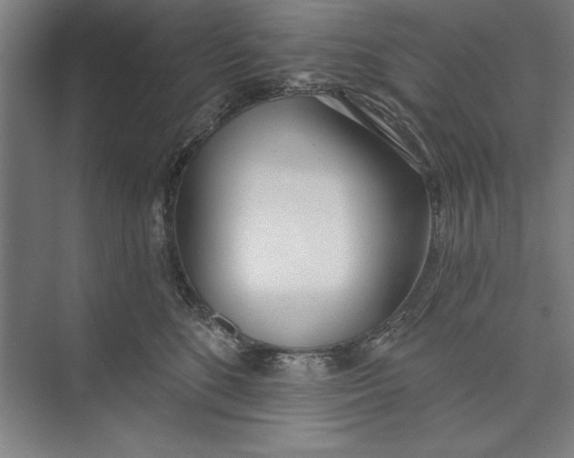 X0000074940520200609221708