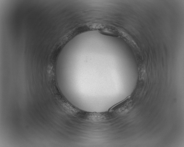 X0000074940521200609221708