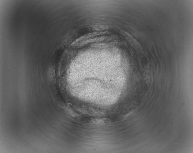 X0000074940523200609221708