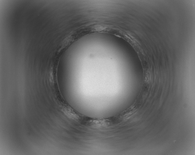 X0000074940524200609221708