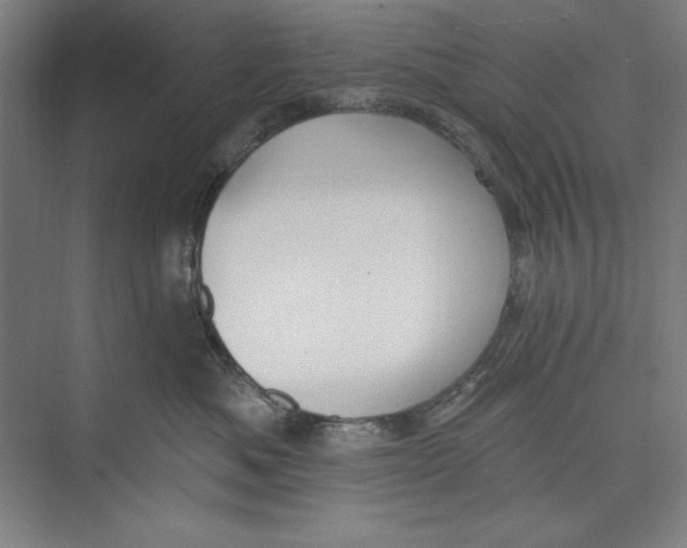 X0000074940525200609221708