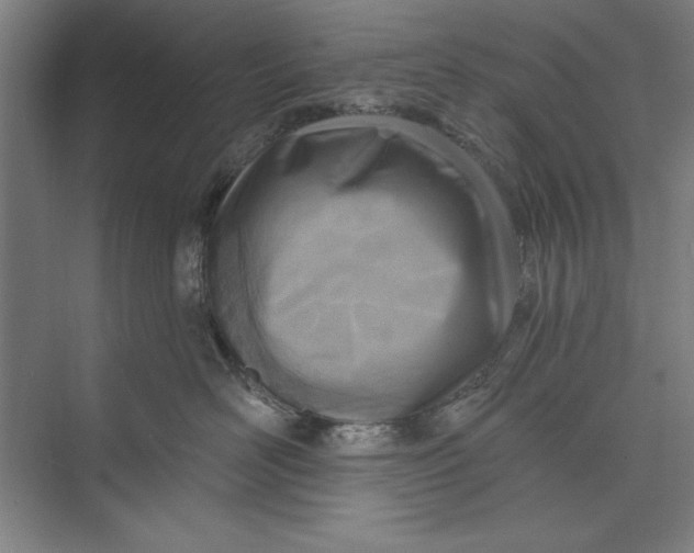 X0000074940526200609221708